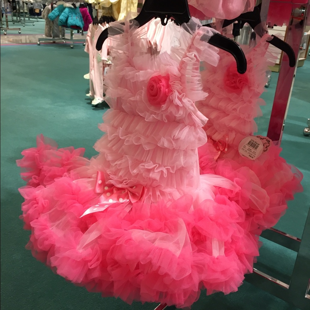 Meet your Posher, Jody